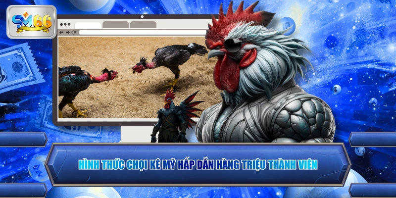 Hình thức chọi kê Mỹ hấp dẫn hàng triệu thành viên