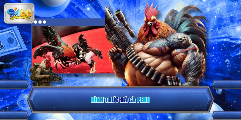 Hình thức đá gà Peru